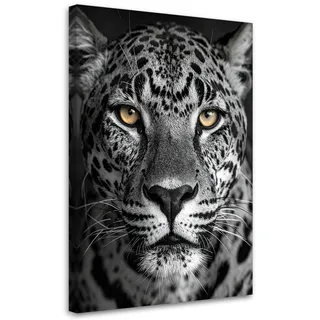 Feeby Jaguar Tiere Leinwand 40x60 cm