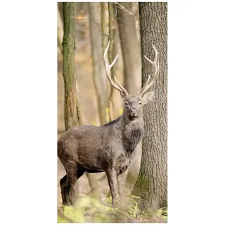 Schaufenster Banner Hirsch im Wald 100 x 200 cm braun schwer entflammbar Textilbild Motiv Banner Textilbanner Wandbild Herbst Bild Stoffbanner Textil Poster Displaybanner Tier Bilder Poster Hirsch