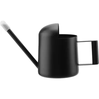 Gießkanne Klein Zimmerpflanzen, 300ml Edelstahl Gießkanne Mini | Giesskanne Schwarz mit Langen Hals für Innen Sukkulenten und Topfpflanzen