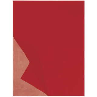 Roeckl Schal Classic Georgette 65x180 - red, 65x180