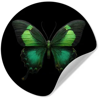 MuchoWow Wandsticker Schmetterling - Grün - Blickfang (1 St), Tapetensticker Selbstklebend, Wandbild Wohnzimmer, 80x80 cm 80 cm x 80 cm x 0.1 cm