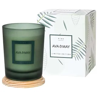 AVA & MAY Duftkerze "Pine" in Grün - 180 g