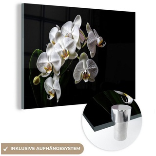 MuchoWow Acrylglasbild Orchidee - Blumen - Weiß - Natur - Schwarz, (1 St), Glasbilder - Bilder auf Glas Wandbild - Foto auf Glas - Wanddekoration bunt 30 cm x 20 cm x 0.5 cm