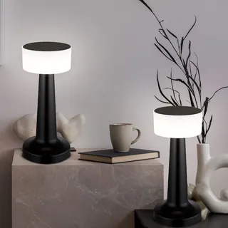 Nachttischlampe Beistellleuchte Tischleuchte Touch LED Akku Dimmer USB opal 2x