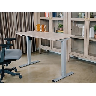 Flexispot Elektrisch Höhenverstellbares Schreibtisch-Gestell EG1, grau, nur Tischgestell
