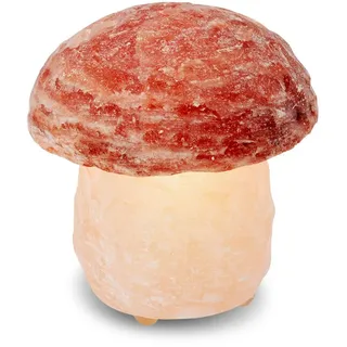 Wagner Life Design Salzkristall-Tischlampe Pilz, Leuchtmittel wechselbar, Warmweiß, Handgefertigt aus Salzkristall - jeder Stein ein Unikat, H: ca.16 cm orange