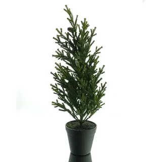Gasper Weihnachtsbaum Konifere grün im Topf Ø 12,5 cm, Höhe 60 cm, Kunststoff