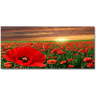 Morbuy Personalisierte Fußmatte Rutschfester Türvorleger mit 3D-Landschaftsdruck, Schmutzfangmatte Waschbar Fussmatte Innen Badteppiche (60x90cm,Rote Mohnblumen)