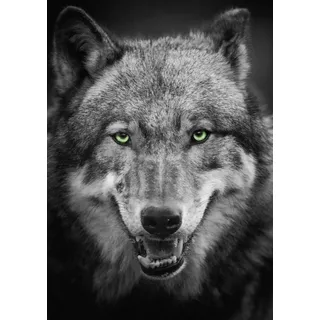 Ulmer Puzzleschmiede - Puzzle "Wolf": Puzzle 1000 Teile - Grauer Wolf als Tierporträt