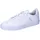 Cloud White / Cloud White / Gold Metallic 36 2/3