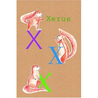 Komar Wandbild | ABC Animal X | Poster, Kinderzimmer, Buchstaben, Bild, Wohnzimmer, Schlafzimmer, Dekoration, Kunstdruck | ohne Rahmen | P036X-30x40 | Größe: 30 x 40 cm (Breite x Höhe)