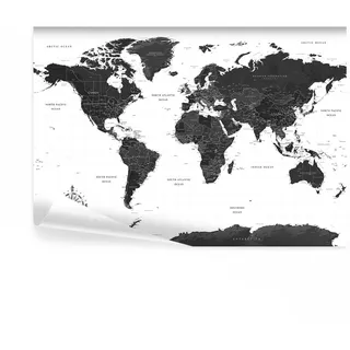 decomonkey Fototapete Weltkarte 250x175 cm Design Tapete Fototapeten Vlies Tapeten Vliestapete Wandtapete moderne Wand Landkarte Kontinent schwarz weiß