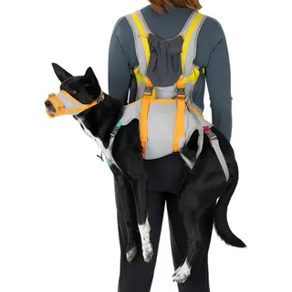 Ruffwear - BackTrak Dog Evacuation Kit - Hundezubehör Gr S cloudburst gray
