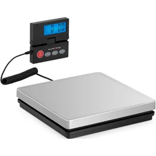 Steinberg Systems / 10 g