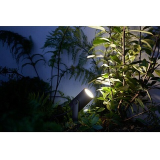 Philips Hue LED-Gartenspot Lily  (1-flammig, 8 W, Lichtfarbe: RGB, IP65)