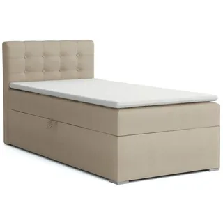 Deine Möbel 24 Boxspringbett JUNG 3 Polsterbett Jungendbett inkl. Matratzen H3 / H4 inkl. Topper (Boxbett für Jugendliche Creme Grau Beige Hellgrau Dunkegrau Anthrazit Schwarz, 3-St., Bonellfederkernmatratze H3 Taschenfederkernmatratze H4), 90x200 100x200 Veloursstoff Einzelbett Boxspring Hotelbett beige|goldfarben