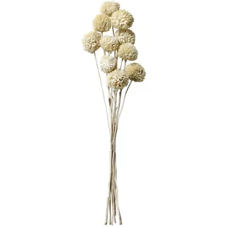 Chic Antique Fleur getrocknete Blumen im Strauß, Höhe 50 cm