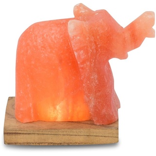 HIMALAYA SALT DREAMS Salzkristall-Tischlampe Elefant, LED wechselbar, Warmweiß, Handgefertigt aus Salzkristall - jeder Stein ein Unikat, H: ca.11 cm orange