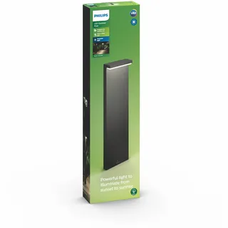 Philips LED Sockelleuchte Bustan 22 x 9 x 77 cm anthrazit