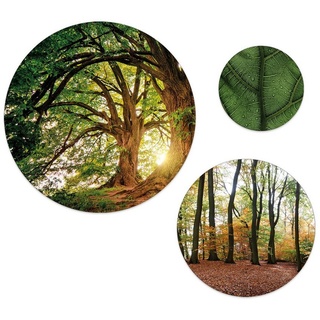 artissimo Mehrteilige Bilder mehrteiliges Bilder-Set 3 Wandbilder rund Wandkreise Wald und Bäume, Landschaft: Bäume und Blätter grün gelb|grün