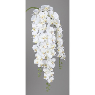 DPI künstliche Orchidee Phalaenopsis Hänger creme 115 cm