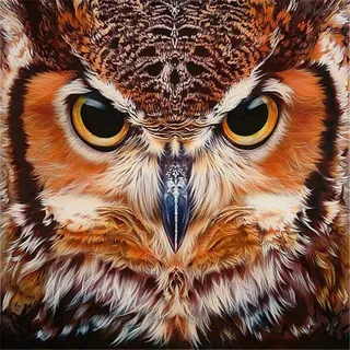 Yingxin34 Puzzle Klassisches 5000 Teile Süße Eule Puzzle -61.61x41.53 Zoll (156.5 x 105.5cm)