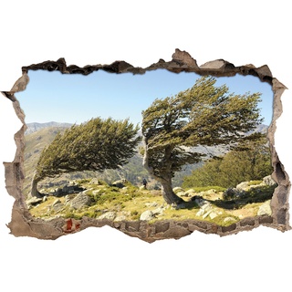 Pixxprint 3D_WD_2028_92x62 Schiefer Baum auf Kreta Wanddurchbruch 3D Wandtattoo, Vinyl, bunt, 92 x 62 x 0,02 cm