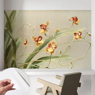 Selbstklebende Tapete - Wanddekoration Wohnzimmer - Tapete Schlafzimmer Klassische Orchideen 104x70 Cm