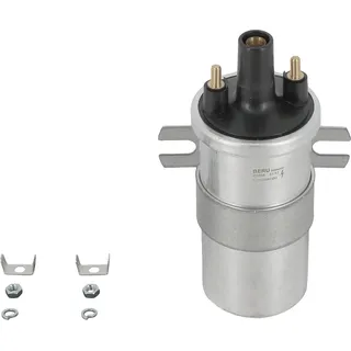 BorgWarner (Beru) ZS564