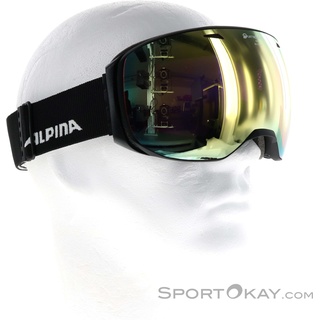 Alpina Big Horn QVM Skibrille-Schwarz-One Size