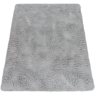 KADIMA DESIGN Hochflorteppich 60 x 100 cm Hellgrau