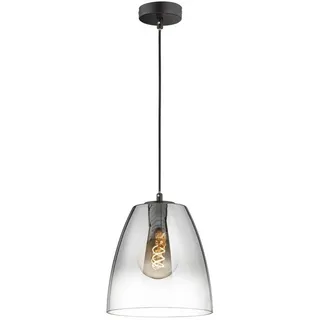 FISCHER & HONSEL LED Pendelleuchte, dimmbar, LED wechselbar, Warmweiß, einflammig hängend mit Lampenschirm Rauchglas Ø 25cm klein schwarz