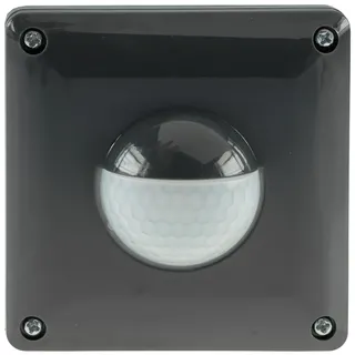 ChiliTec 23621