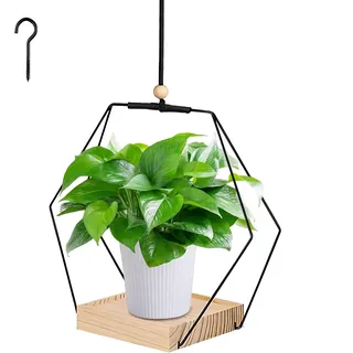 ACAREY Blumenampel Hängend Innen aus Metall, Blumentopf Hängend mit Deckenhaken und 80cm Seil, Hängetopf für Pflanzen, Hängeampel Pflanzen, Hängepflanzen Topf, Hängender Blumentopf (C)