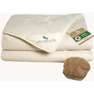 allnatura Kamelflaumhaar-Duo Bettdecke Cammello - 135x200 cm, WK5 | Öko-Test 'Sehr gut' - 100% Kamelflaumhaar, Bio-Baumwolle-Bezug - Temperaturausgleichend, Made in Germany
