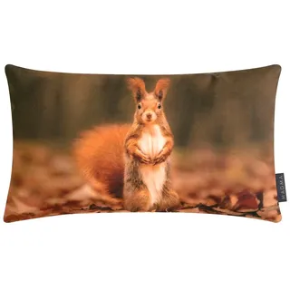 Magma Heimtex Eichhörnchen Kissen 30 x 50 cm Braun