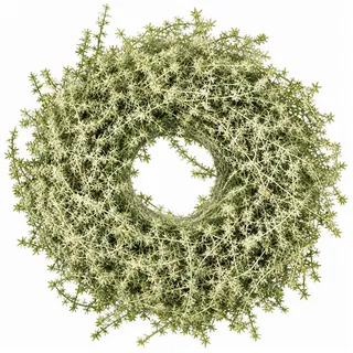 finehomegarden Dekokranz Asparagus Kranz Ø35cm Grün Herbstkranz Türkranz Herbst Deko, Naturmaterial Türkranz, Wandkranz & Tischdeko – Herbstliche Dekoration grün