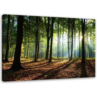 Feeby, Leinwandbild, Bilder, Wand Bild, Wandbilder, Kunstdruck 60x80cm, Wald, Baum, Landschaft, Natur, GRÜN