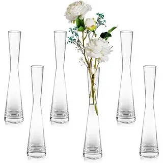 Blumenvase Glas Set Tulpenvase Tischdeko Pampasgras Hochzeit 6 24.5cm