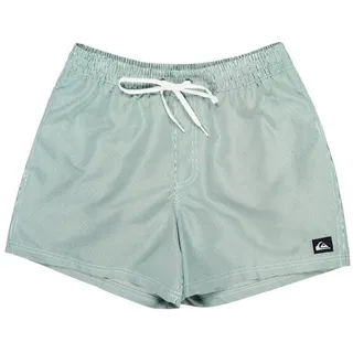 QUIKSILVER Everyday Deluxe 15 Badeshorts Grün L