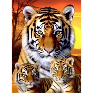 Bimkole DIY 5D Diamond Painting Zubehör Drei Tiger, Tier Diamant Malerei Kit Voll Runde Bohrer Malen nach Zahlen Malerei Stickerei Kreuzstich Diamond Dekoration 30X40 cm