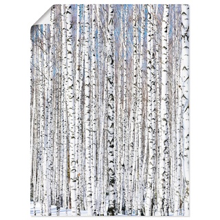 Wandbild »Winterbirkenwald Wintergelassenheit«, Bäume, (1 St.), 32147261-0 schwarz B/H: 60 cm x 80 cm