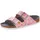 schmal flower field rose 43