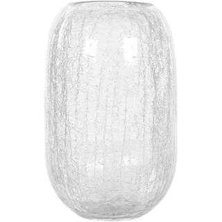 Beliani Blumenvase Kyrakali Transparent 28 cm