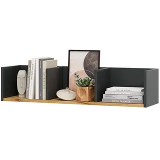 Vicco Wandregal Tomy 90 x 20 x 24 cm Anthrazit/Goldkraft Eiche
