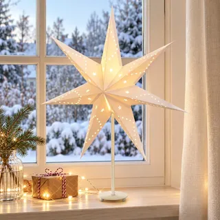 salcar Weihnachtsstern Weiß 3