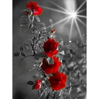 1000 Teile Puzzle Rose Puzzle Rose Schwarz Weiß Rot Serie Puzzle DIY Puzzle Puzzle Spiel Holz Kinder Erwachsene Puzzle Dekoration 1500 Pieces