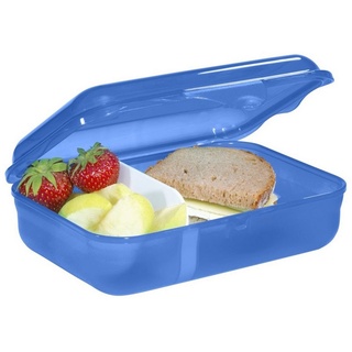 Step by Step Lunchbox mit Klickverschluss, spülmaschinengeeignet, Kunststoff, BPA-frei, (1-tlg) blau 12.9 cm x 17.7 cm x 6.00 cm