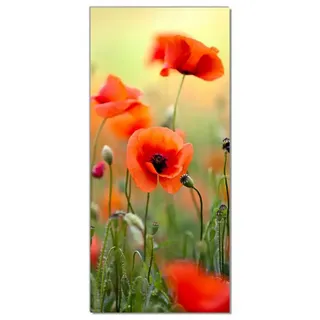 Wallario Türtapete Mohnblumenblüten, glatt, ohne Struktur gelb 0.93 m x 2.05 m