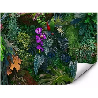 Fototapete Premium Für Die Wand Exotischer Dschungel mit Orchideen und Monstera für Wohnzimmer Schlafzimmer Büro 200x140 cm